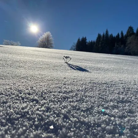 Alte Foersterei Wildenthal In - 4 * Eibenstock
