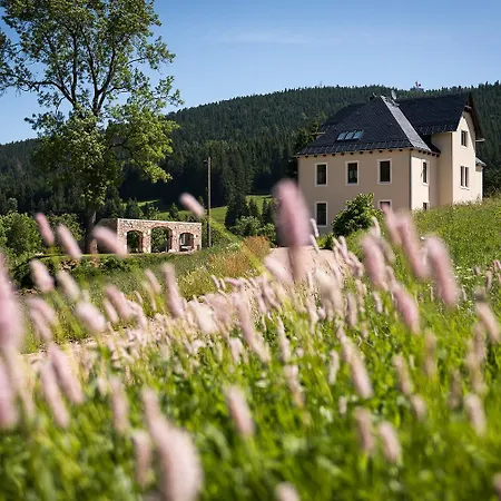 Alte Foersterei Wildenthal In - 4 Apartmán *