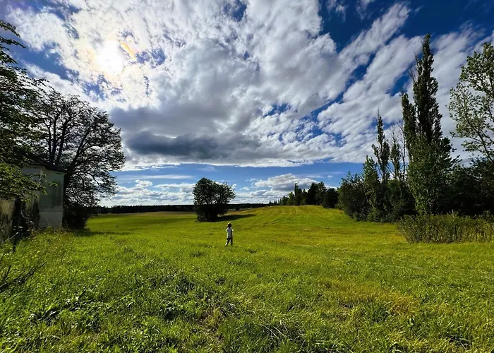 Apartmán Ferienwohnung In Eibenstock Fuer Familien Eibenstock