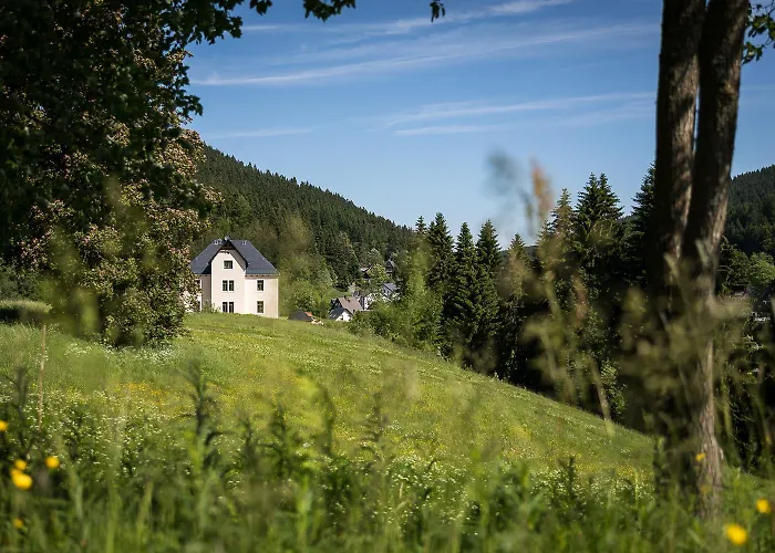 Ferienwohnung In Eibenstock Fuer Familien Eibenstock